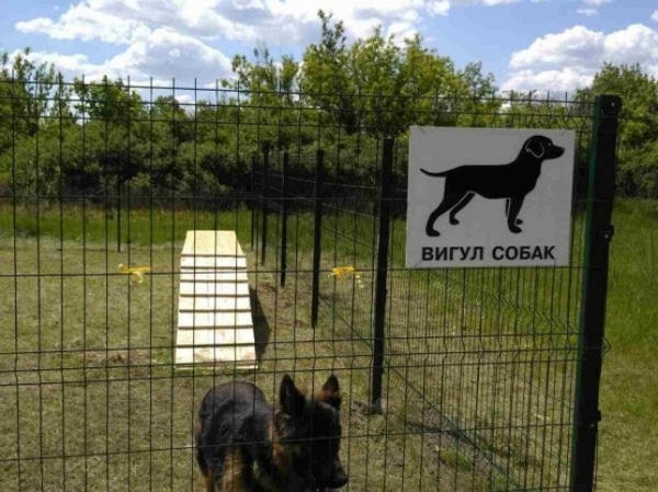 В Кременчуге появится первая площадка для выгула собак