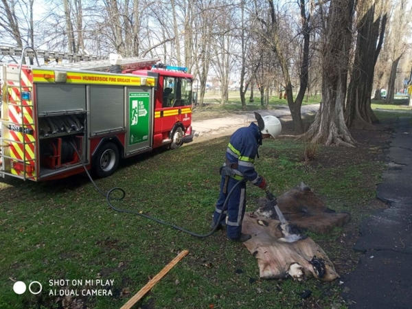 Пожарные из горящей квартиры спасли трех кременчужан