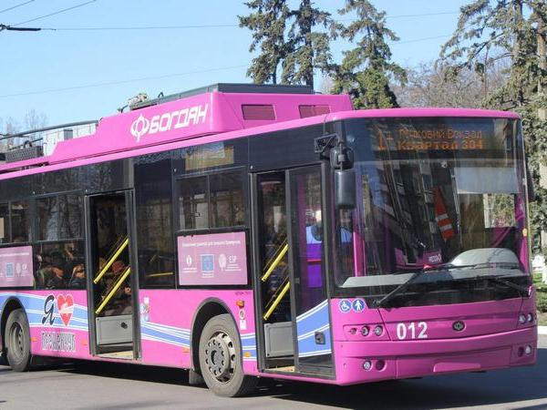В Кременчуге запустят два маршрута общественного транспорта