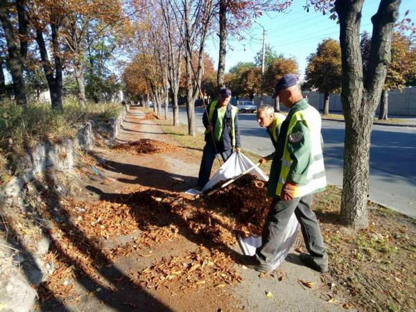 В Кременчуге стартовал осенний трехмесячник чистоты и порядка
