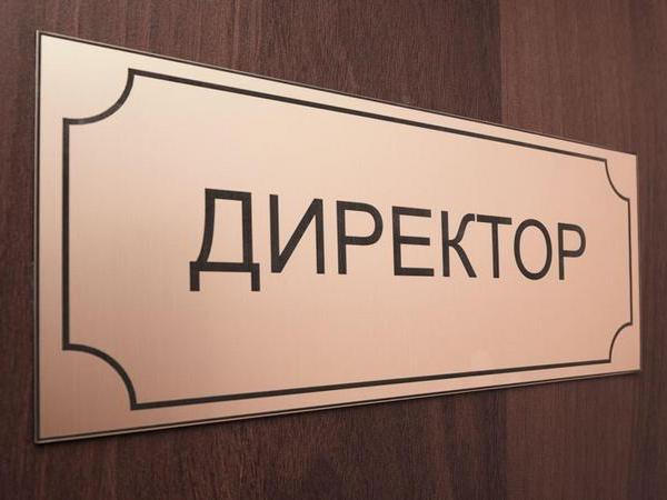 Светлана Тригубенко стала директором гимназии №24