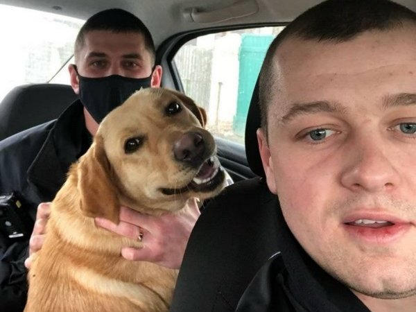 На выходных кременчугская полиция нашла двух “потеряшек”