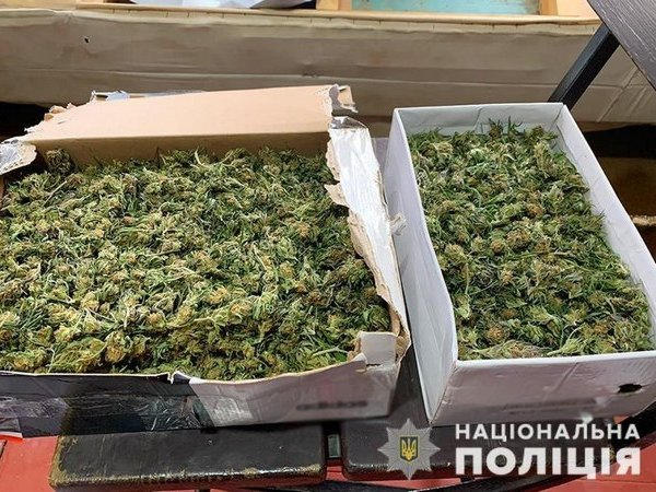 Полиция изъяла у кременчужанина наркоурожай почти на миллион гривен