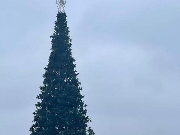 Кременчугские коммунальщики завершили установку главной новогодней елки города