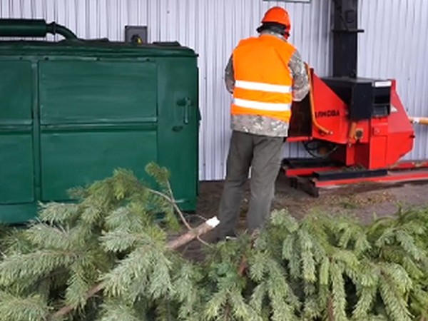 Кременчужан просят не выбрасывать елки в мусорные контейнеры