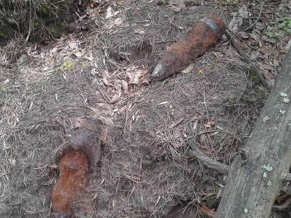 Под Кременчугом нашли 2 снаряда времен Второй Мировой войны