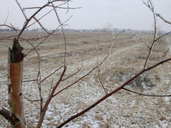 Парк «Депутатский» в Кременчуге поделят между участниками АТО