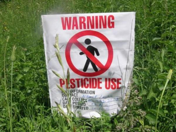 В Кременчуге работница частной теплицы отравилась пестицидами