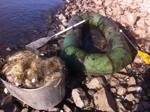 В Кременчуге поймали рыбака с уловом на 10000 грн.
