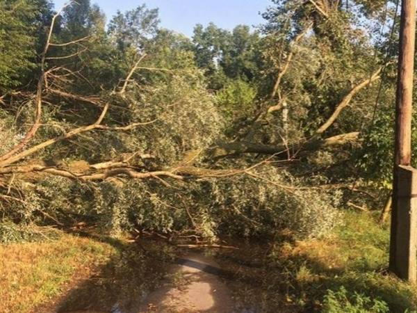 Поваленные ураганом деревья коммунальщики убирали всю ночь