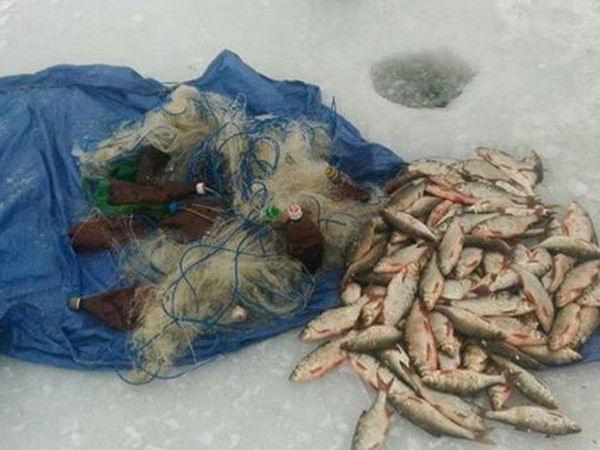 Браконьеры активно взялись за рыбный промысел в Кременчуге