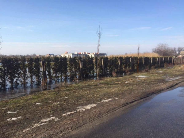 Начальник УЖКХ Москалик спас вице-мэра Кременчуга от потопа