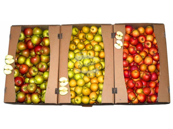 Кременчужанку оштрафовали за торговлю яблоками с лотка
