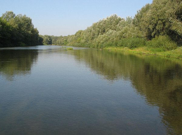 Вода в речке Псел санитарным нормам не соответствует