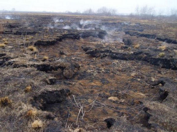 Под Кременчугом горели торфяники