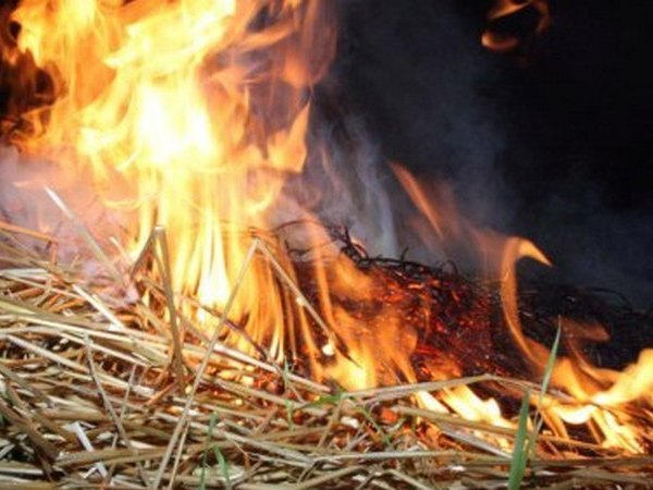 В Кременчуге горели сено и электрощитовая