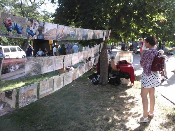 В Кременчуге собрали всех домашних животных