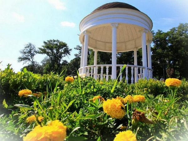 В кременчугском парке нашли раритет