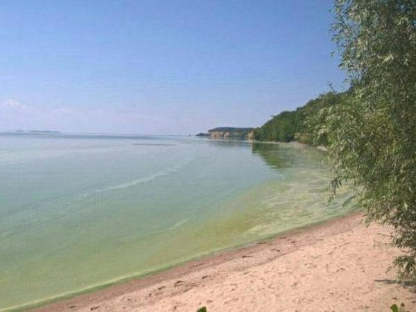 С Кременчугского водохранилища вытянули тело утопленника