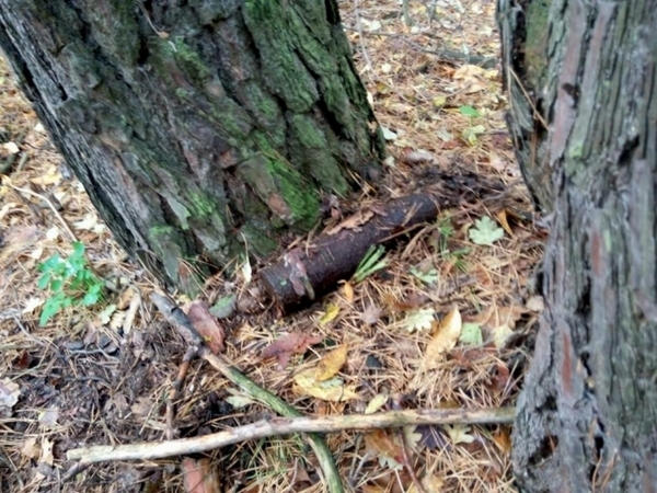 В Кременчугском районе в дачном кооперативе нашли снаряд