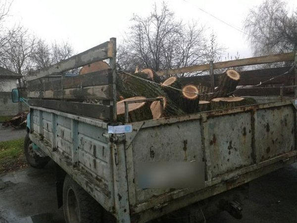 В Кременчугском районе двое мужчин «нарубили» себе проблем