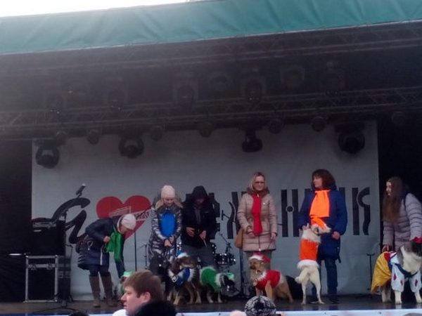 В Кременчуге прошел костюмированный парад животных