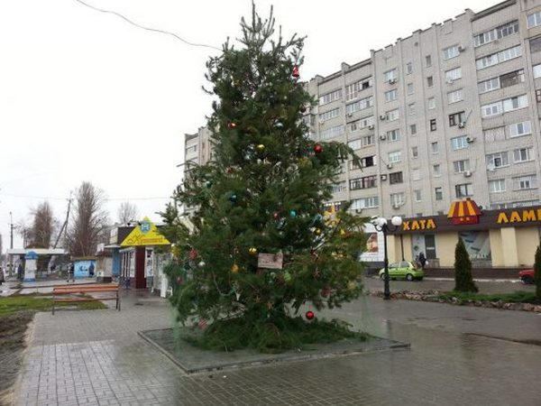 В Кременчуге в микрорайоне №4 открыли Новогоднюю елку