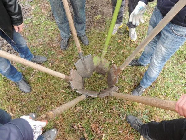 В Кременчуге три месяца будут наводить порядки