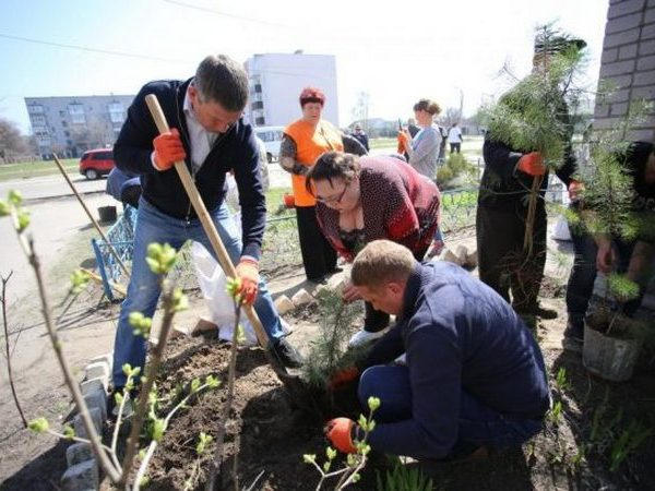 В Кременчуге состоялся первый день Гранатового субботника
