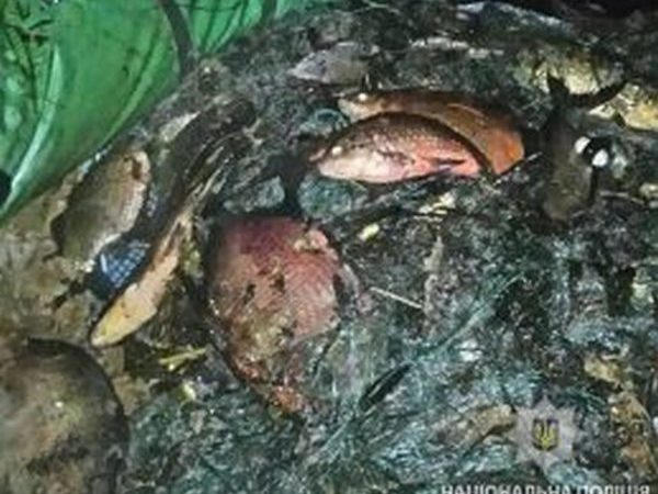 Кременчугская полиция задержала браконьера с 22 кг рыбы