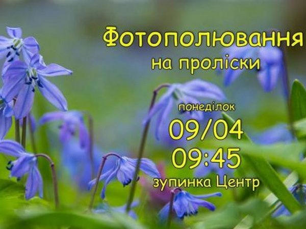 Кременчужан приглашают на фотоохоту за подснежниками