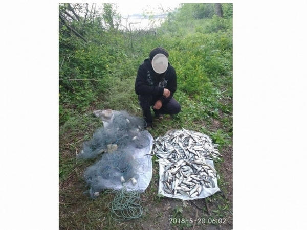 На Кременчугском водохранилище задержали браконьера с 7,6 кг рыбы