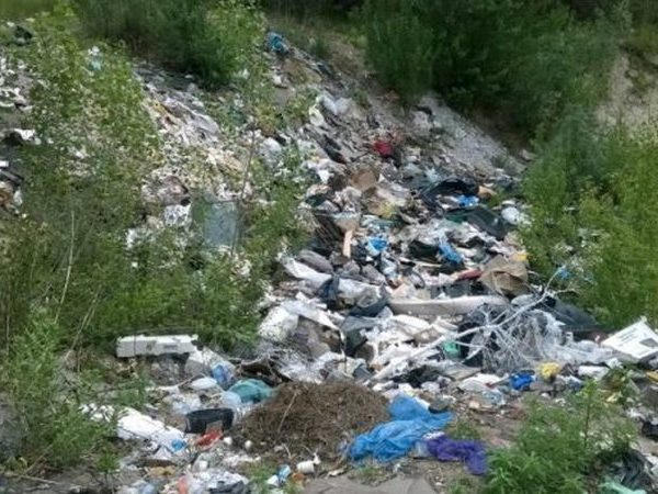 В Кременчуге выявлены десятки стихийный свалок