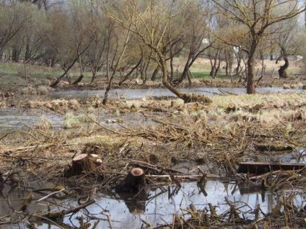 Купальный сезон в пригородных лагерях Кременчуга находится под угрозой