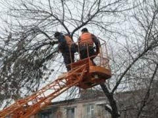 В Кременчуге коммунальщики обеспечивают жителей дровами