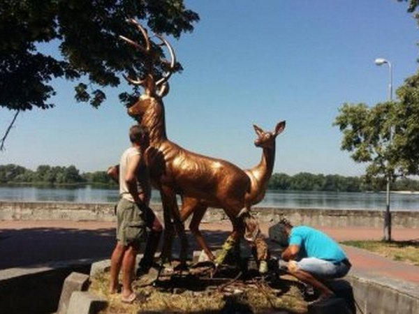 В «Приднепровский» парк в Кременчуге вернулись олени