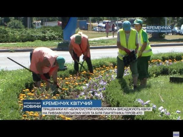 Кременчуг продолжают украшать цветами