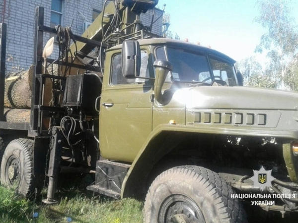Под Кременчугом группа лиц занималась незаконной вырубкой леса