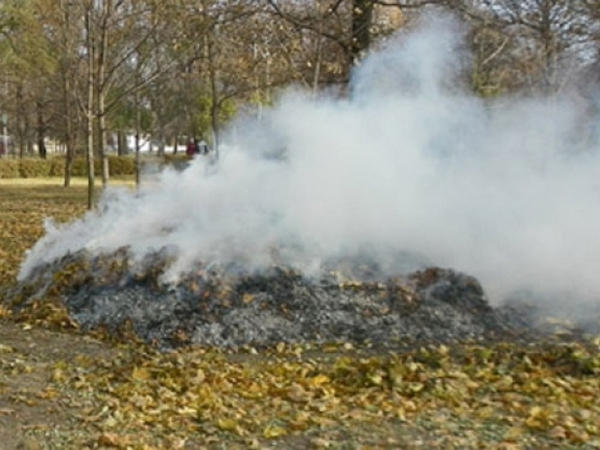 В Кременчуге продолжает гореть сухая трава