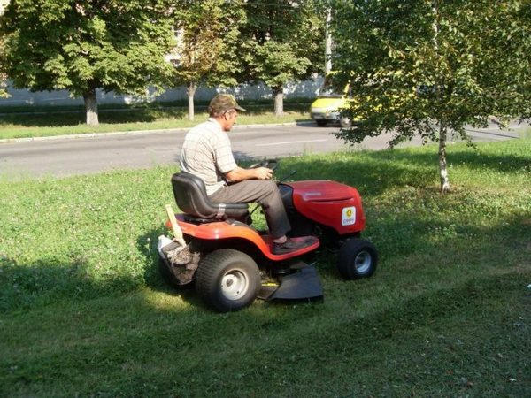 В Кременчуге продолжается борьба с карантинными растениями