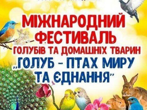 В эту субботу в Кременчуг свезут голубей разных пород и домашних животных
