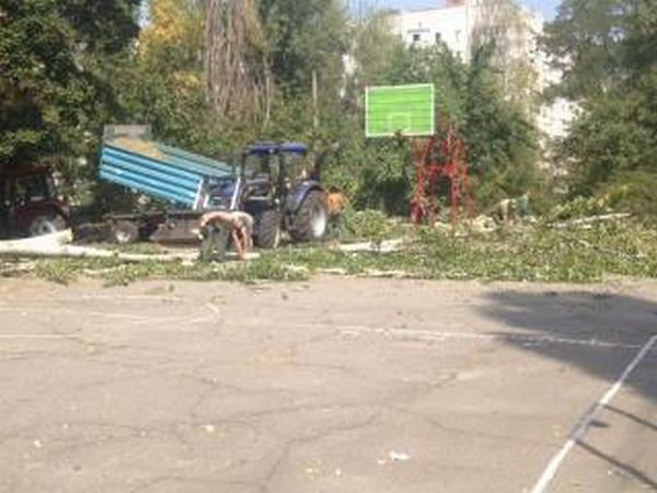Кременчугские коммунальщики очистят территорию школ и детсадов от аварийных деревьев