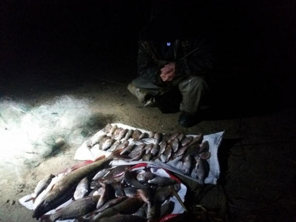 За неделю рыбпатруль конфисковал 500 кг рыбы