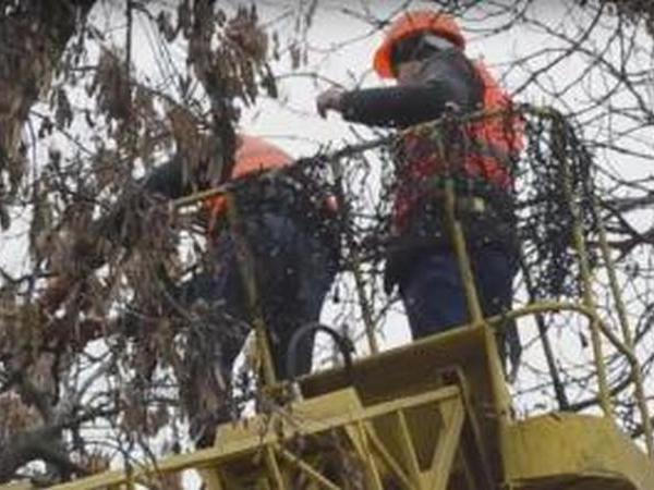 Сквер Бабаева преобразится к Новому году