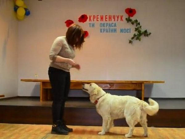 Кременчужанам, нуждающимся в реабилитации, будут помогать собаки