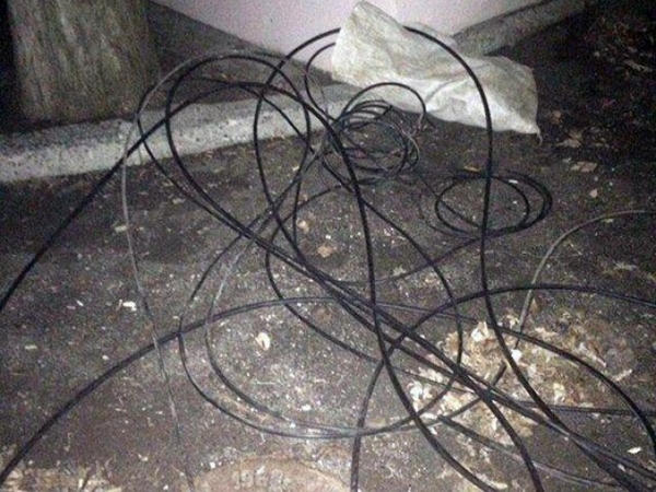 В Кременчуге мужчина и женщина под покровом ночи воровали телефонный кабель