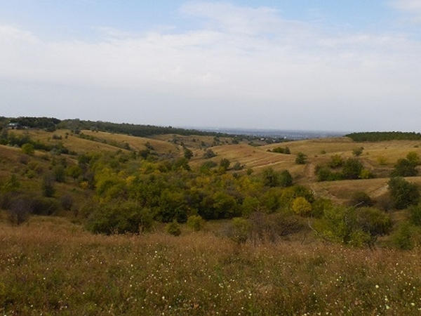В ЦПАУ Кременчуга появились новые услуги по земельным вопросам