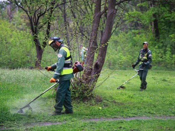 Кременчугские коммунальщики продолжают покос травы