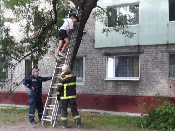 Кременчугские спасатели помогли подростку спуститься в дерева