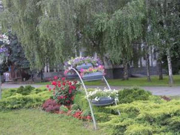 Кременчугские озеленители украшают город термочашами с цветами